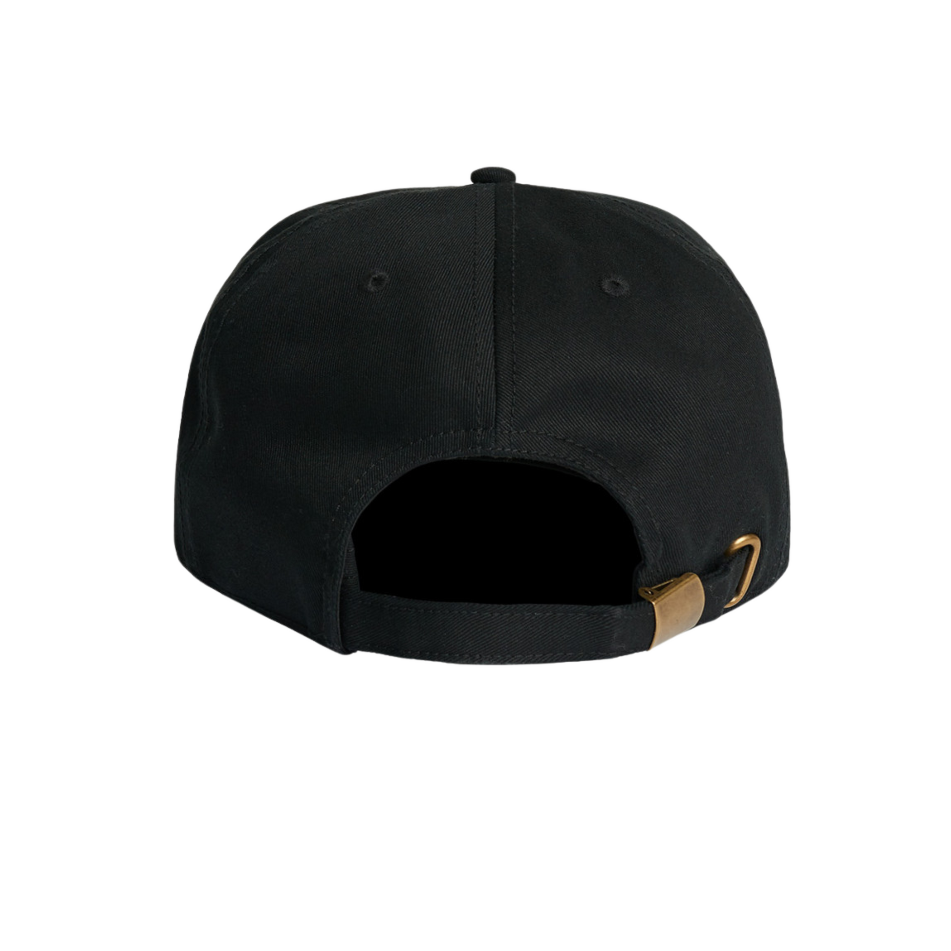 Password Hat
